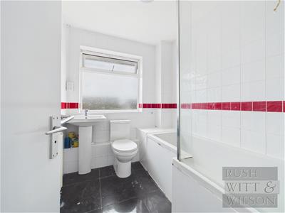 Picture 13
